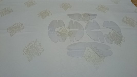 Bướm cổ nhựa - Nơ Cổ nhựa